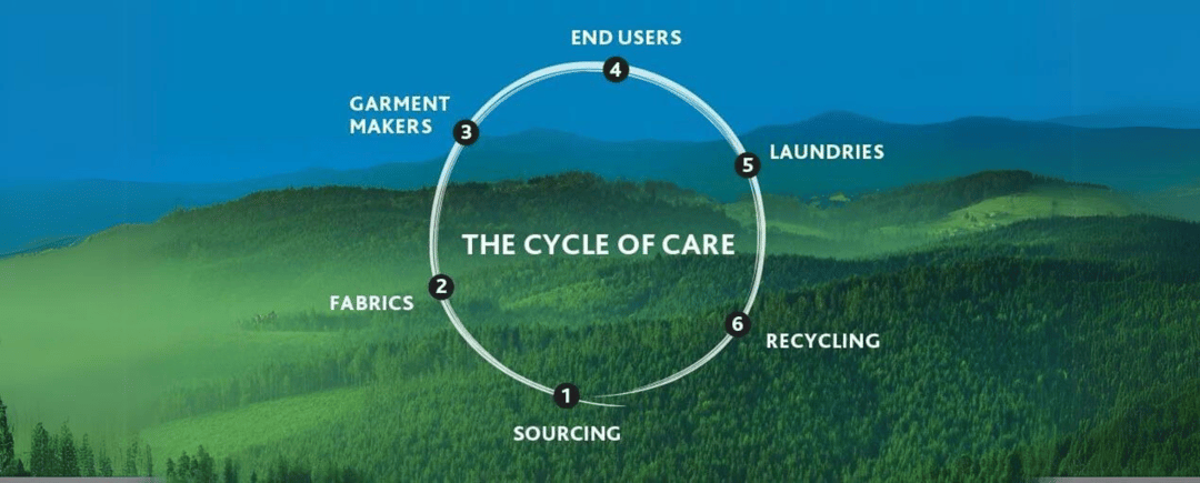 The cycle of care